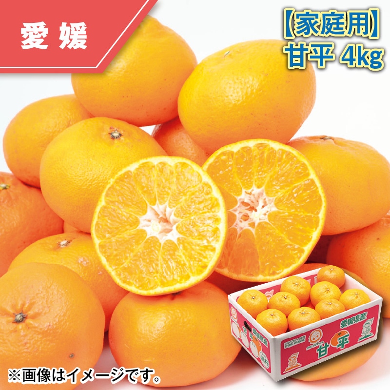 【家庭用】甘平４ｋｇ 送料込み