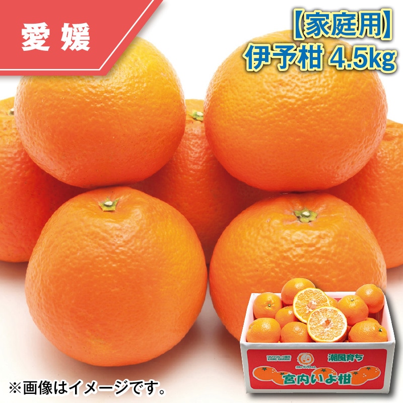 【家庭用】伊予柑４．５ｋｇ 送料込み