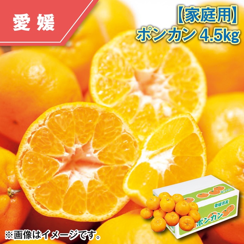 【家庭用】ポンカン４．５ｋｇ 送料込み