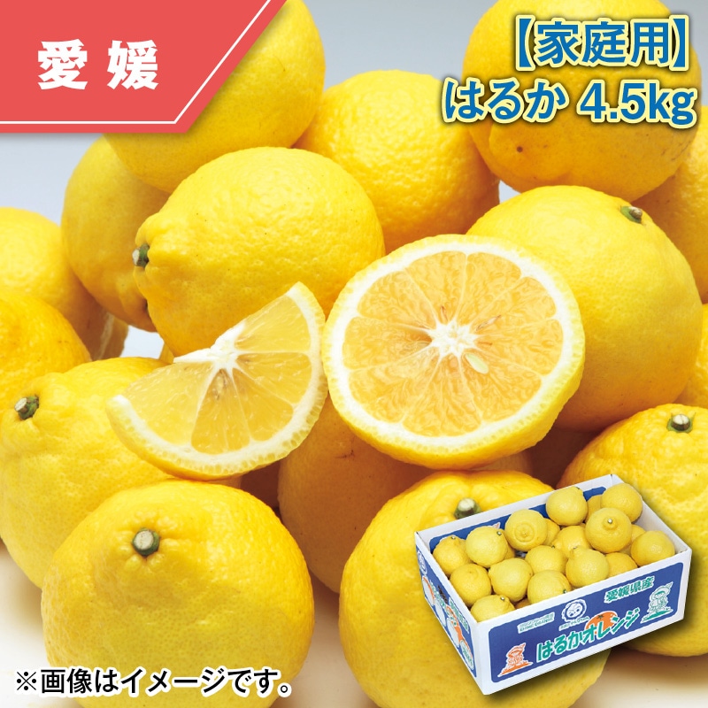 【家庭用】はるか４．５ｋｇ 送料込み