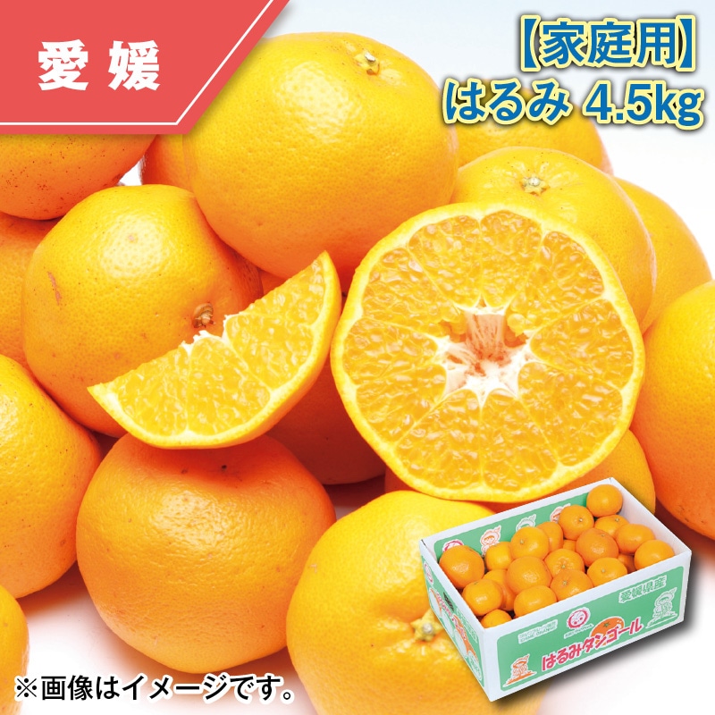 【家庭用】はるみ４．５ｋｇ 送料込み