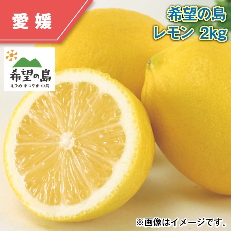 希望の島　レモン　２ｋｇ 送料込み