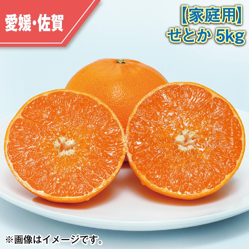 【家庭用】せとか５ｋｇ 送料込み