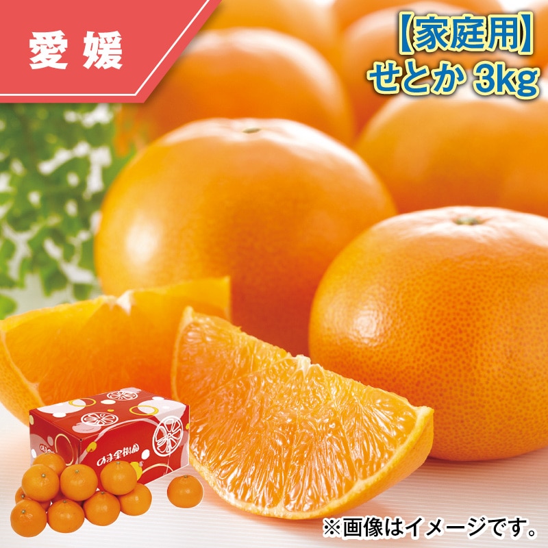 【家庭用】せとか３ｋｇ 送料込み