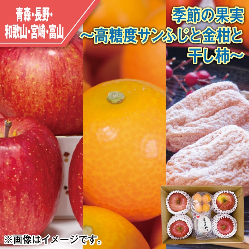 季節の果実～高糖度サンふじと金柑と干し柿～ 送料込み
