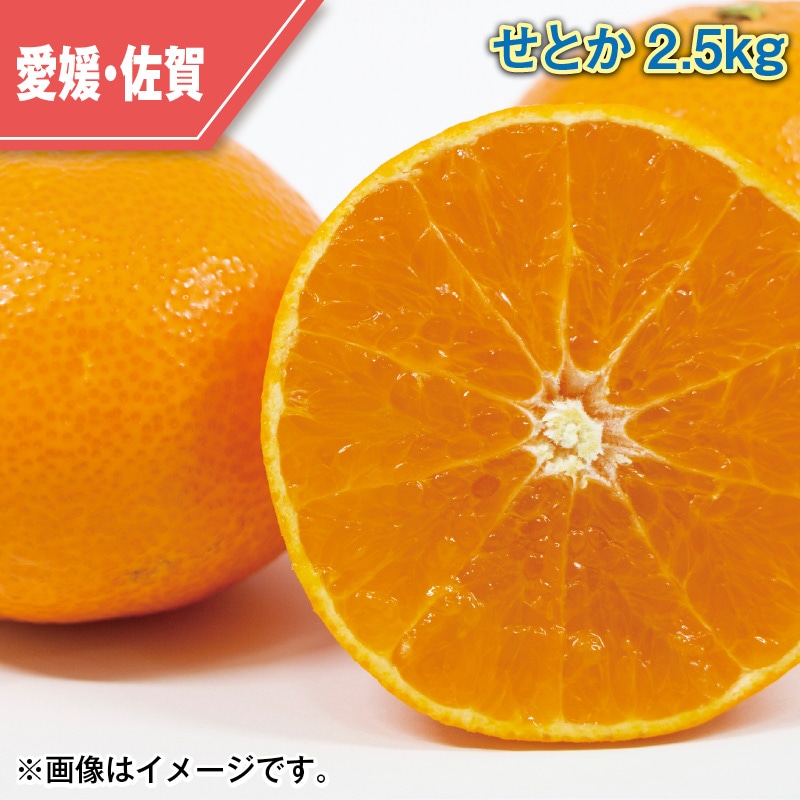 せとか２．５ｋｇ 送料込み