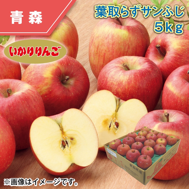 葉とらずサンふじ　５ｋｇ 送料込み