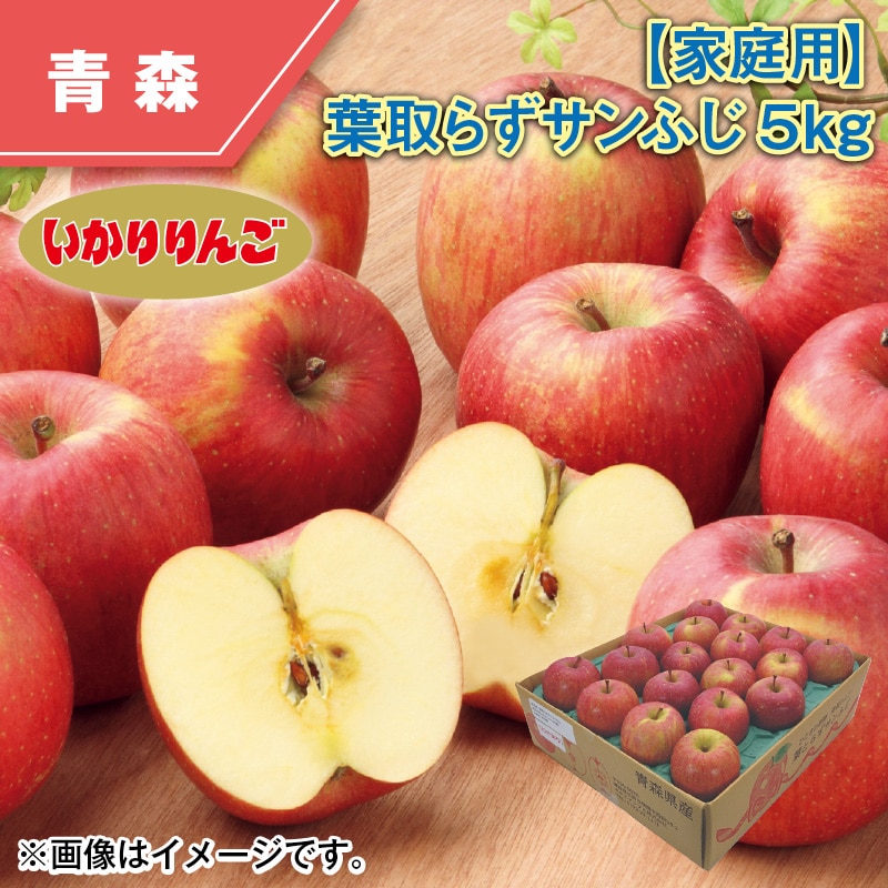 【家庭用】葉とらずサンふじ　５ｋｇ 送料込み