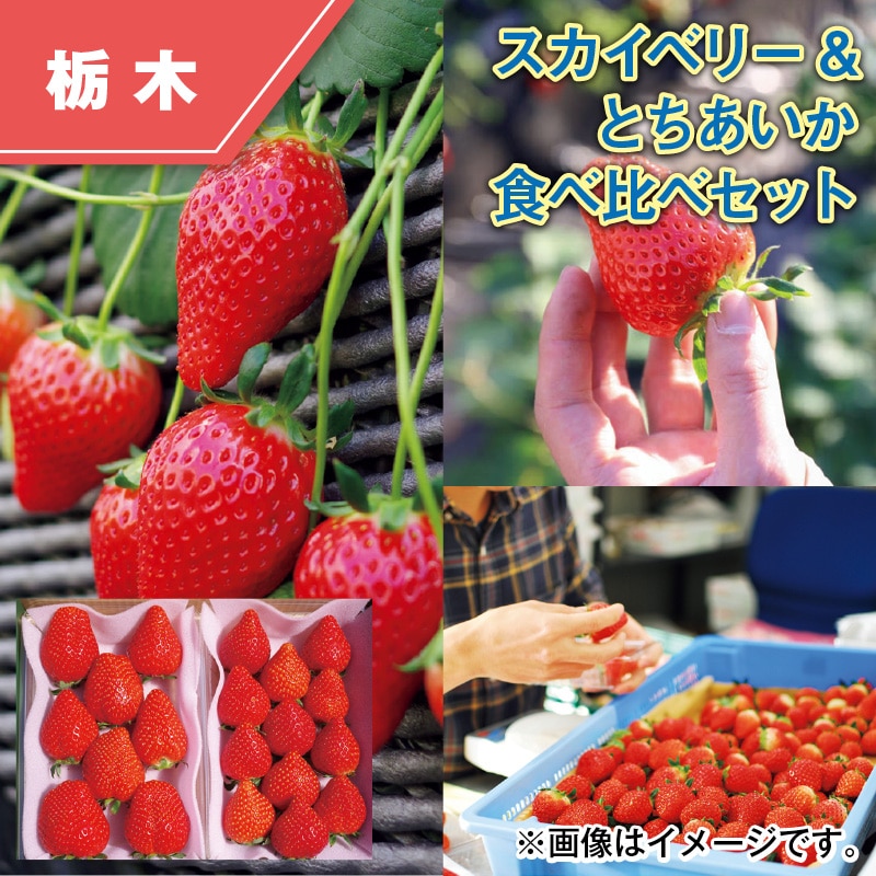 スカイベリー＆とちあいか　食べ比べセット 送料込み