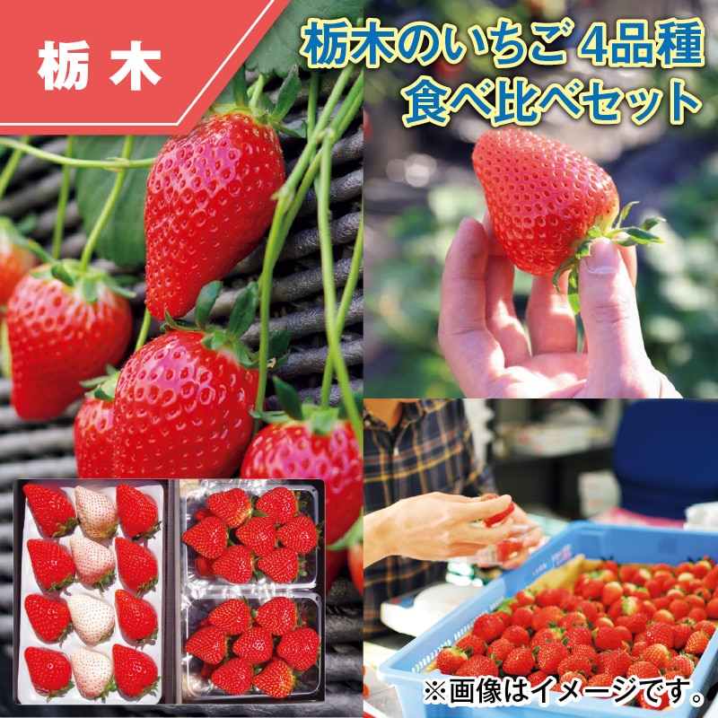 栃木のいちご４品種　食べ比べセット 送料込み