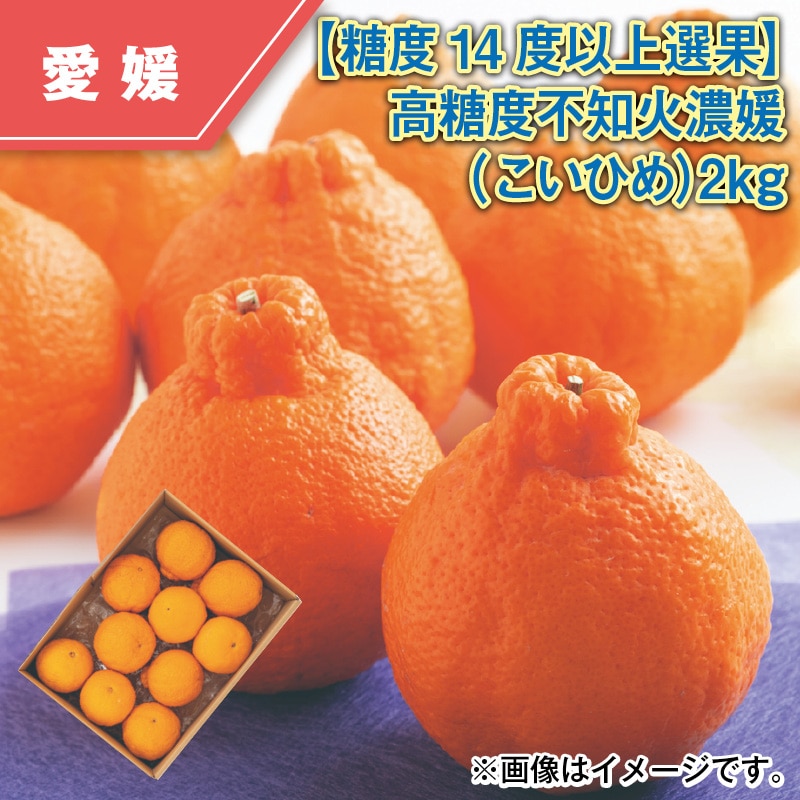 【糖度１４度以上選果】高糖度不知火濃媛（こいひめ）２ｋｇ 送料込み