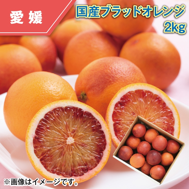 国産ブラッドオレンジ２ｋｇ 送料込み