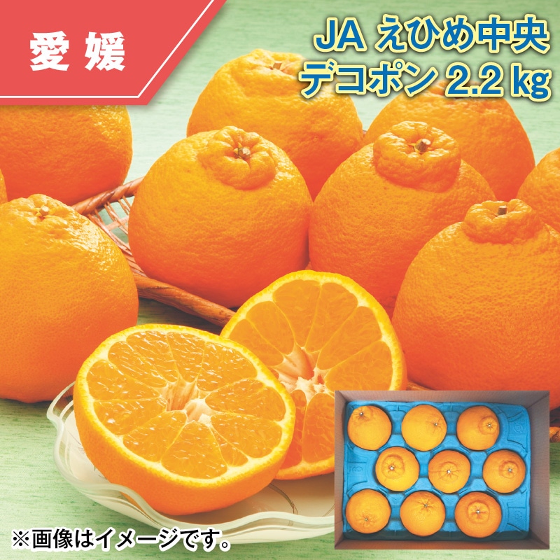 ＪＡえひめ中央　デコポン　２．２ｋｇ 送料込み