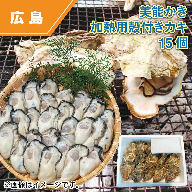 美能かき　加熱用殻付きカキ１５個 送料込み