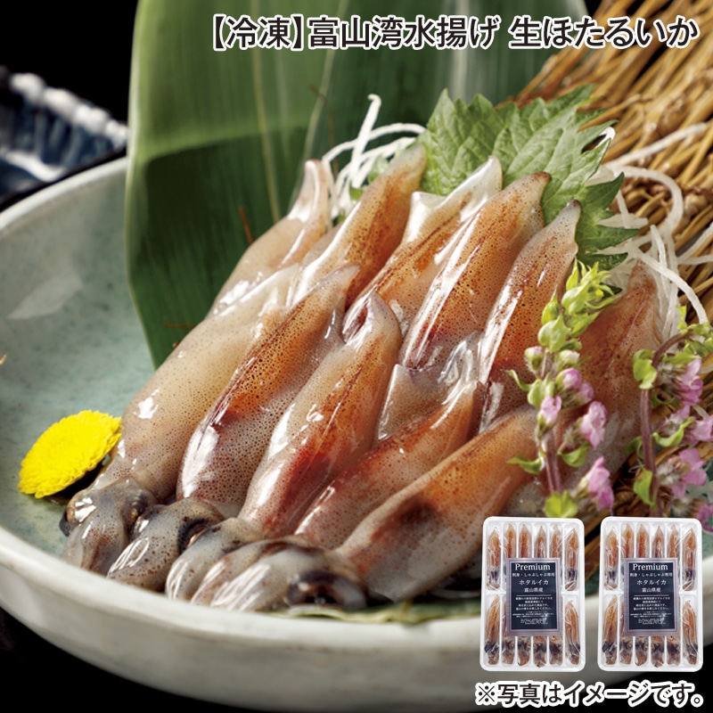 【冷凍】富山湾水揚げ　生ほたるいか 送料込み