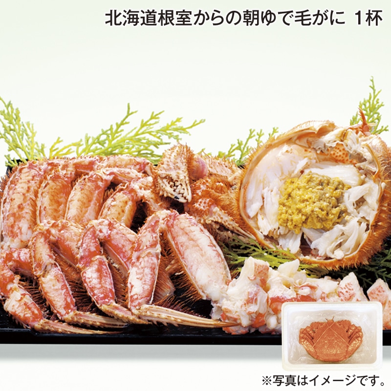 北海道根室からの朝ゆで毛がに　１杯 送料込み