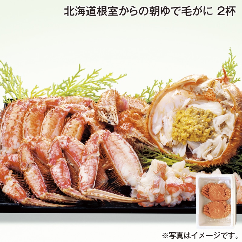 北海道根室からの朝ゆで毛がに　２杯 送料込み