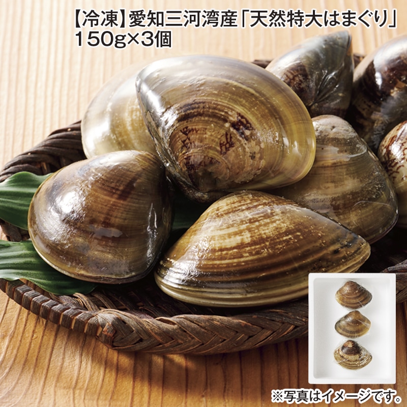 【冷凍】愛知三河湾産「天然特大はまぐり」１５０ｇ×３個 送料込み