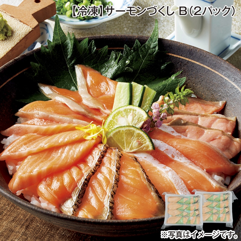 【冷凍】サーモンづくし　Ｂ（２パック） 送料込み