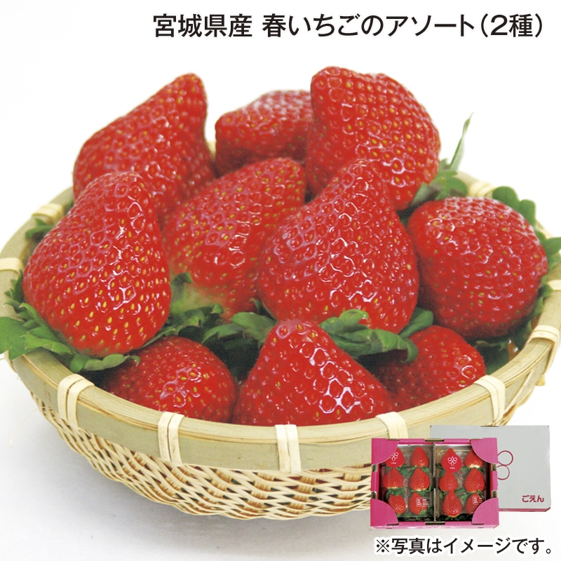 宮城県産　春いちごのアソート（２種） 送料込み