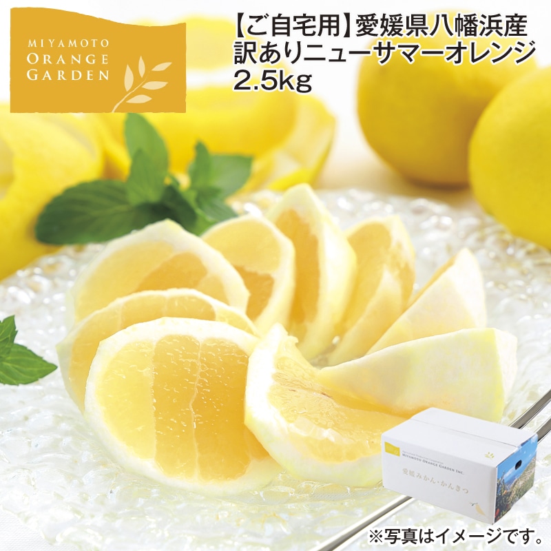 【ご自宅用】愛媛県八幡浜産　訳あり　ニューサマーオレンジ　２．５ｋｇ 送料込み