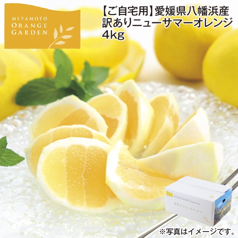 【ご自宅用】愛媛県八幡浜産　訳あり　ニューサマーオレンジ　４ｋｇ 送料込み