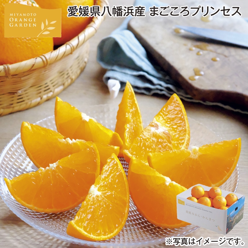 愛媛県八幡浜産　まごころプリンセス 送料込み