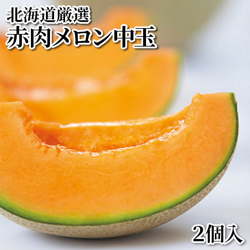 北海道厳選赤肉メロン中玉　２個入 送料込み