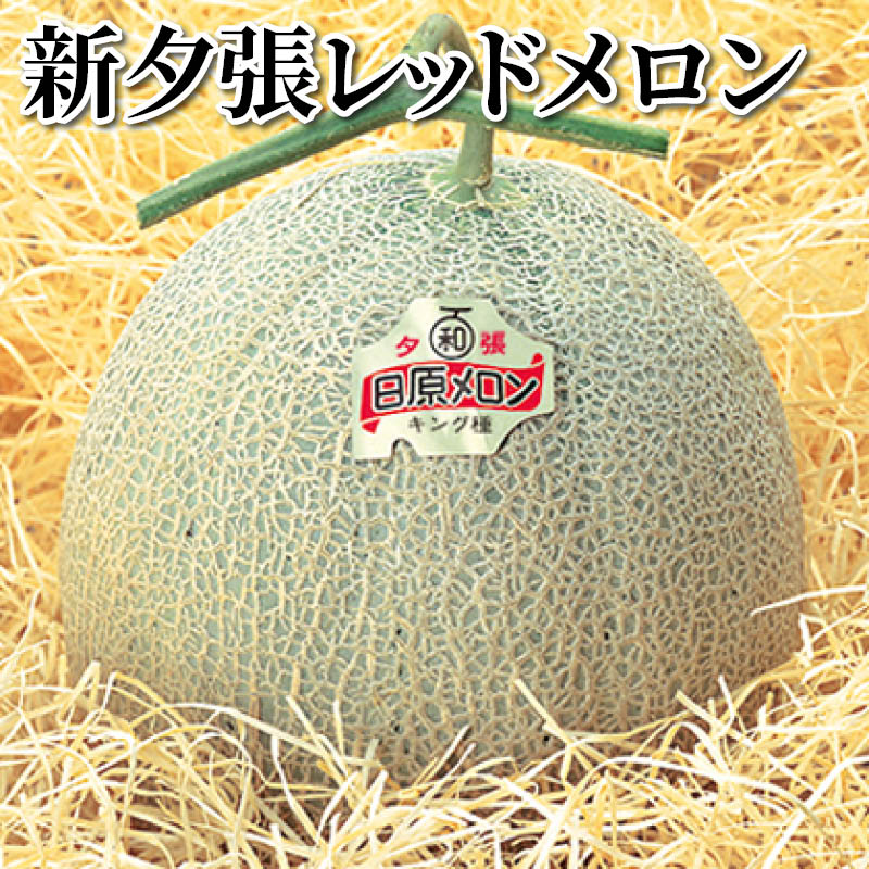 新夕張レッドメロン 送料込み