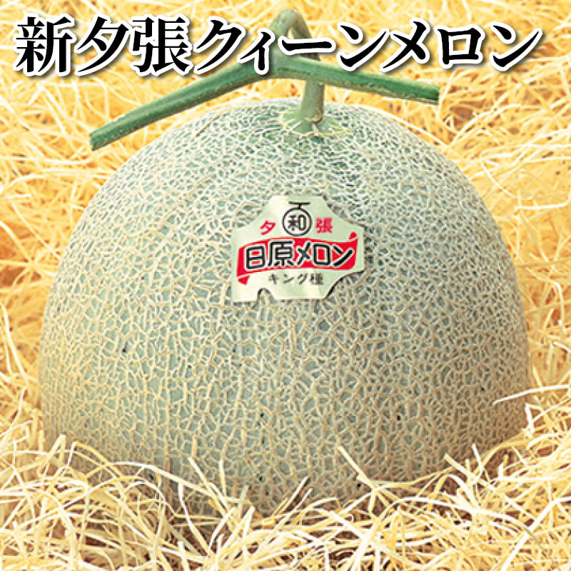 新夕張クィーンメロン 送料込み
