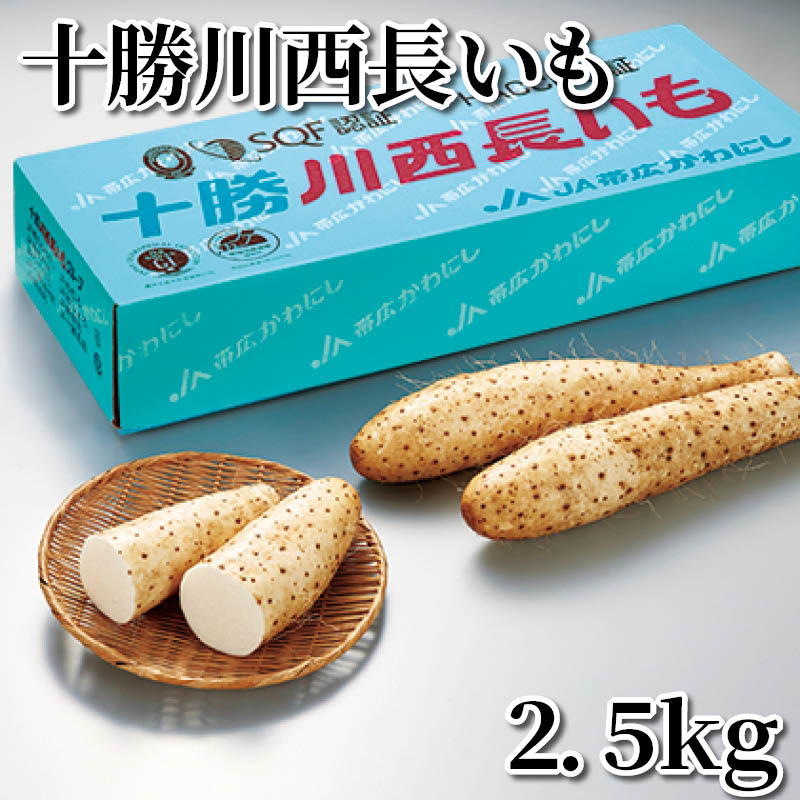 十勝川西長いも　２．５ｋｇ 送料込み