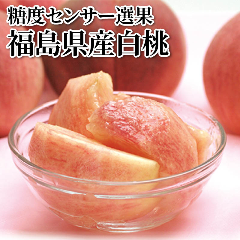 糖度センサー選果　福島県産白桃 送料込み