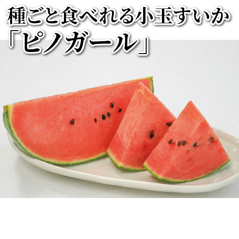 種ごと食べれる小玉すいか「ピノガール」 送料込み