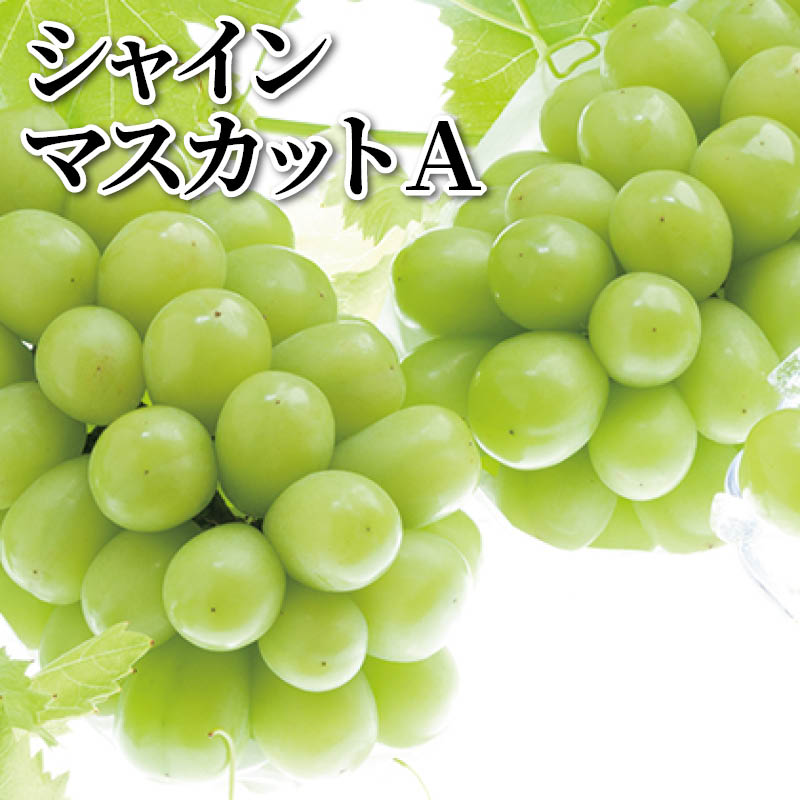 シャインマスカット　Ａ 送料込み