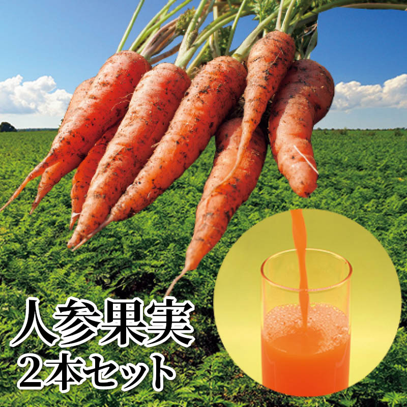 人参果実　２本セット 送料込み