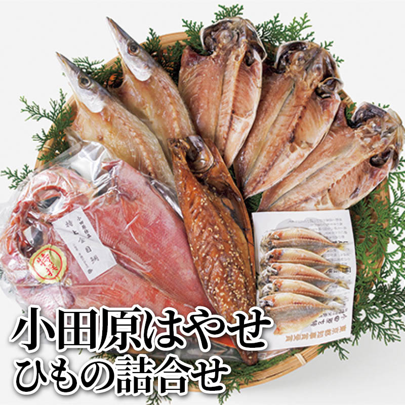 小田原はやせ　ひもの詰合せ 送料込み