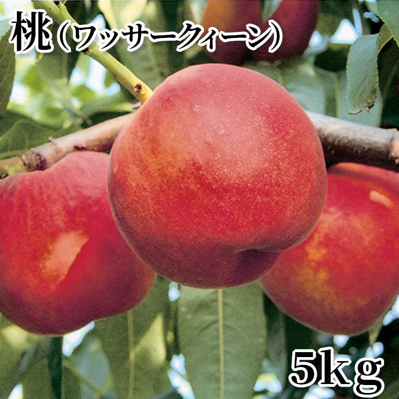 桃（ワッサークィーン）　５ｋｇ 送料込み