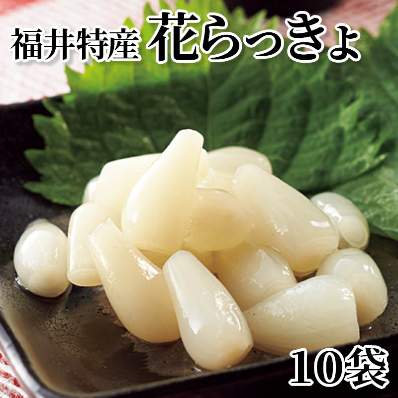 福井特産花らっきょ　１０袋 送料込み