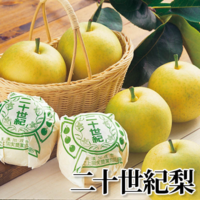 二十世紀梨 送料込み