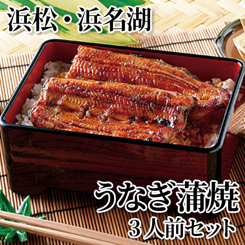 浜松・浜名湖うなぎ蒲焼　３人前セット 送料込み