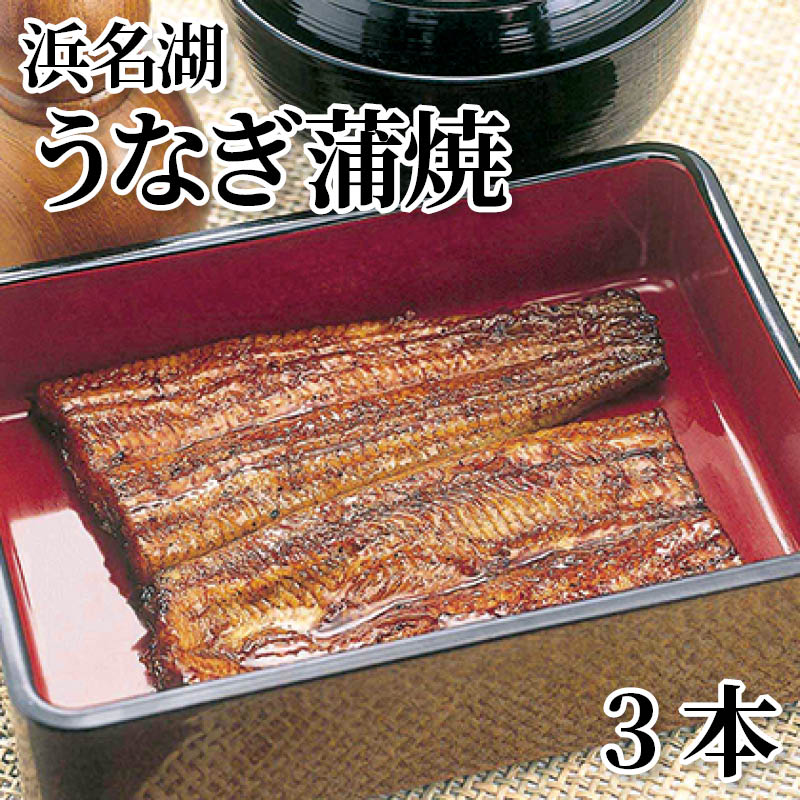 浜名湖うなぎ蒲焼　３本 送料込み