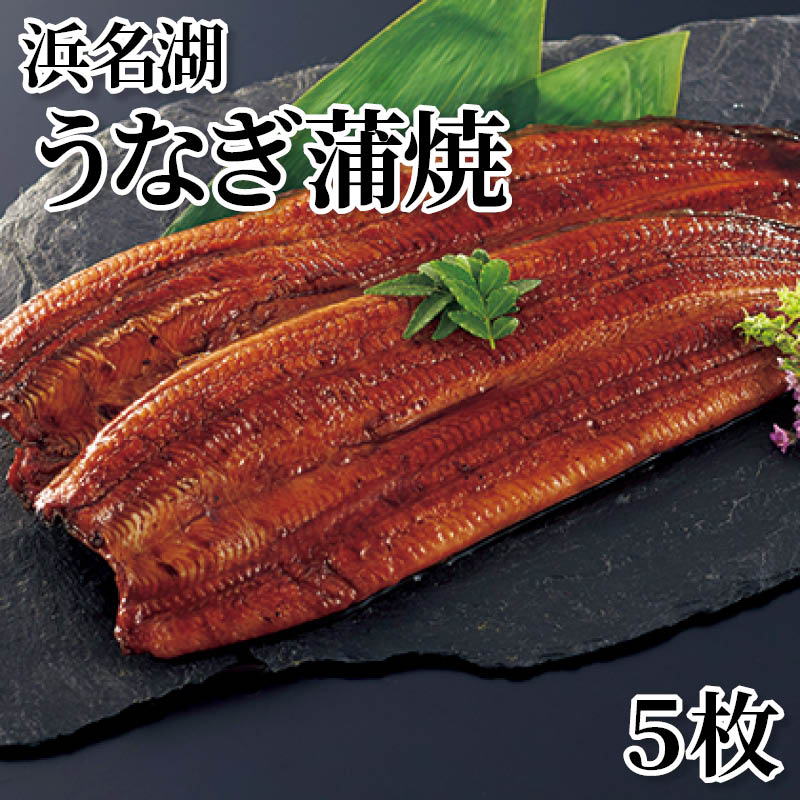 浜名湖うなぎ蒲焼　５枚 送料込み
