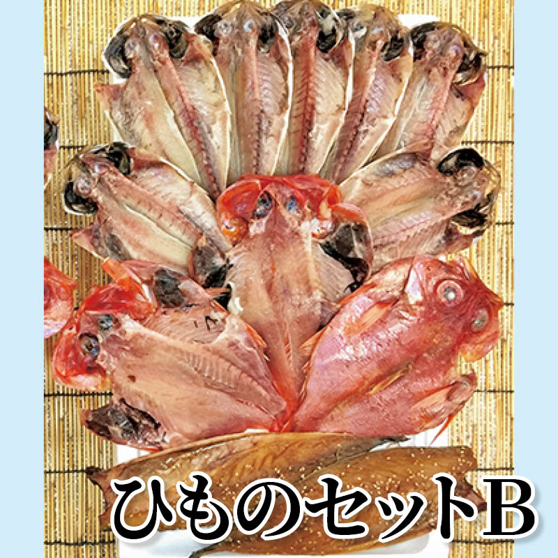 ひものセット　Ｂ 送料込み