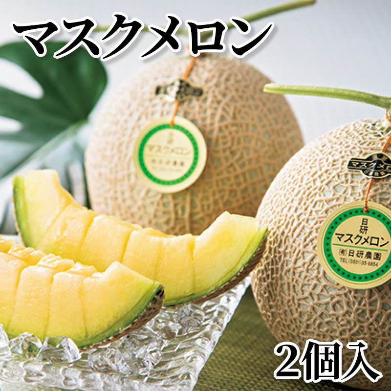 マスクメロン　２個入 送料込み