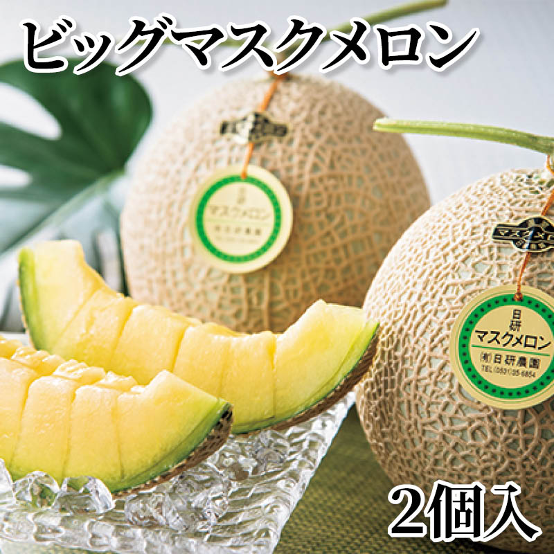 ビッグマスクメロン　２個入 送料込み