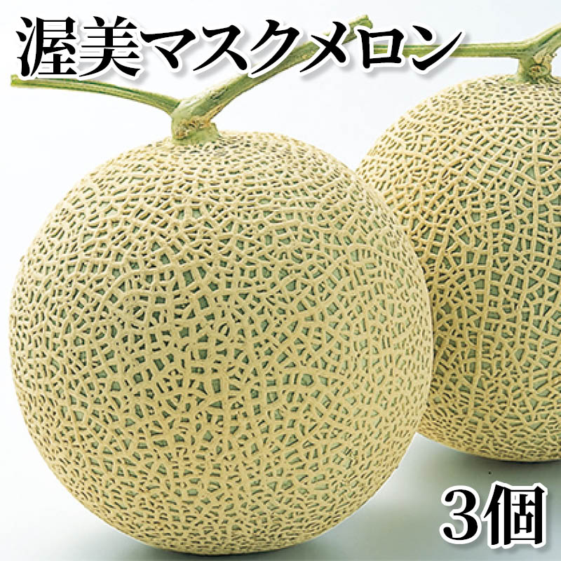 渥美マスクメロン　３個 送料込み