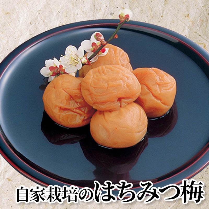 自家栽培のはちみつ梅 送料込み