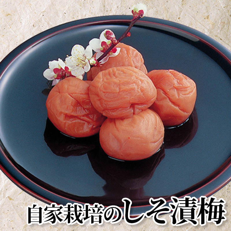 自家栽培のしそ漬梅 送料込み