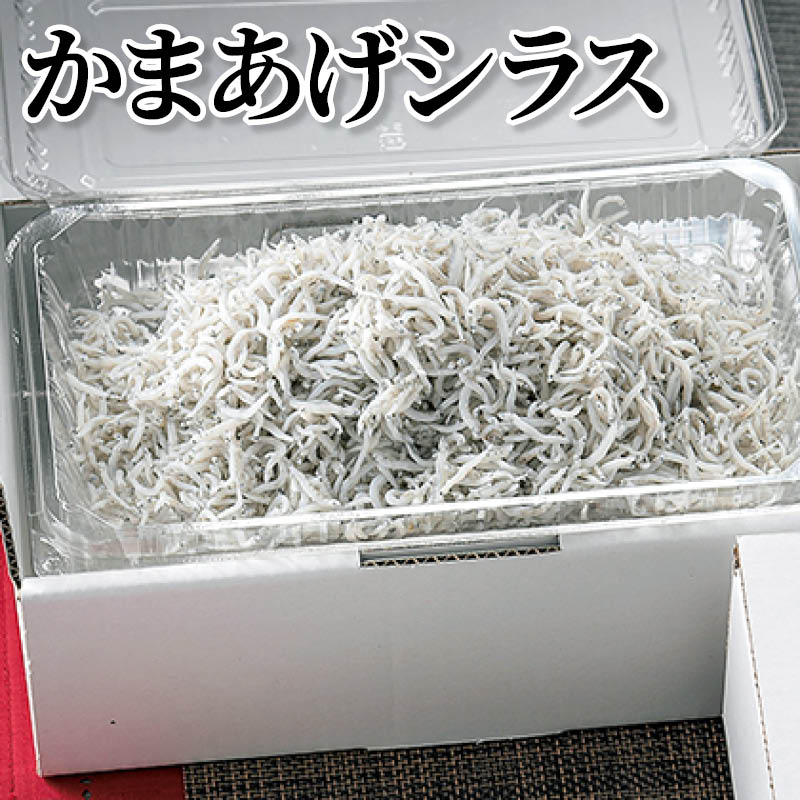 かまあげシラス 送料込み