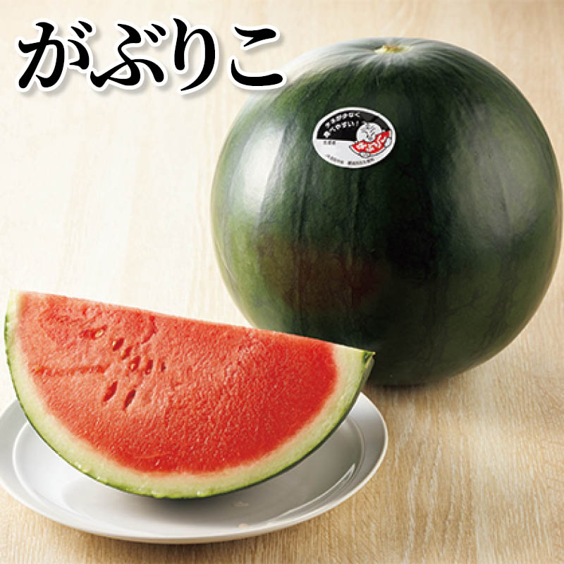 がぶりこ 送料込み